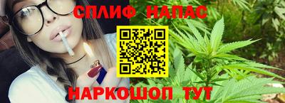 ПСИЛОЦИБИНОВЫЕ ГРИБЫ Коммунар