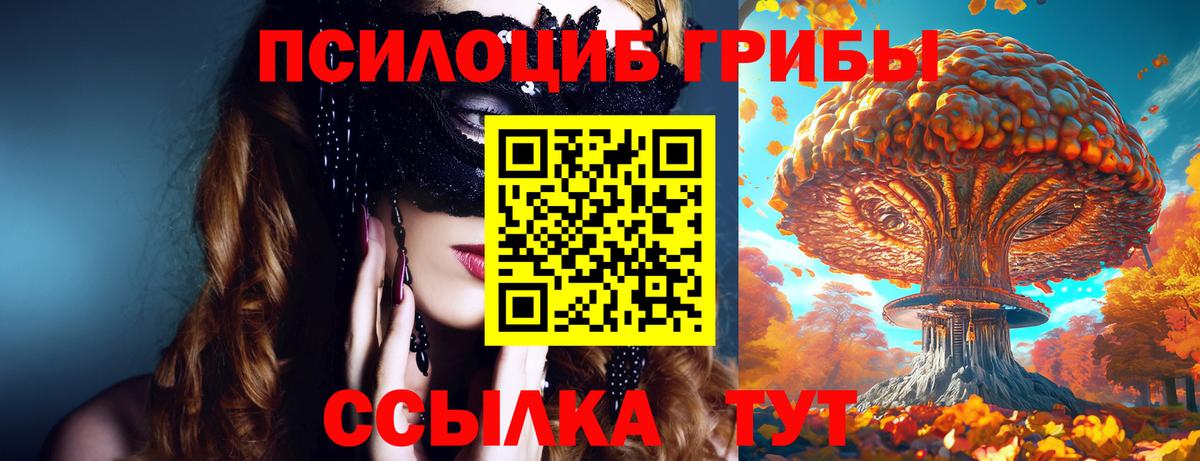 Псилоцибиновые грибы Psilocybine cubensis Учалы